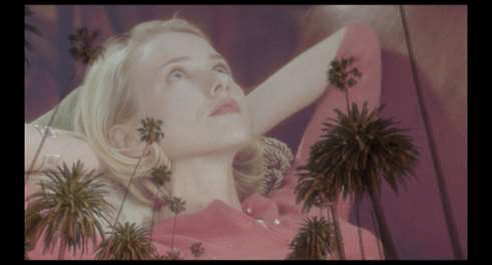 mulholland drive trees